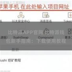 比特派APP官网 比特派钱包新手指南：下载使用教程