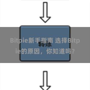 Bitpie新手指南 选择Bitpie的原因，你知道吗？