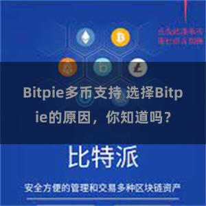 Bitpie多币支持 选择Bitpie的原因，你知道吗？