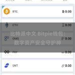比特派中文 Bitpie钱包：数字资产安全守护神
