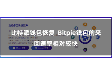 比特派钱包恢复  Bitpie钱包的来回速率相对较快