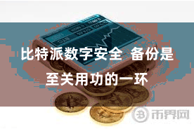 比特派数字安全  备份是至关用功的一环
