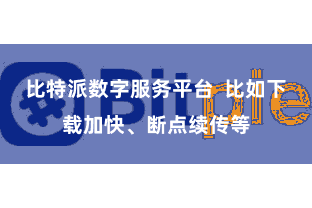 比特派数字服务平台  比如下载加快、断点续传等