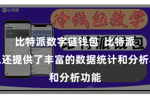 比特派数字链钱包  比特派钱包还提供了丰富的数据统计和分析功能