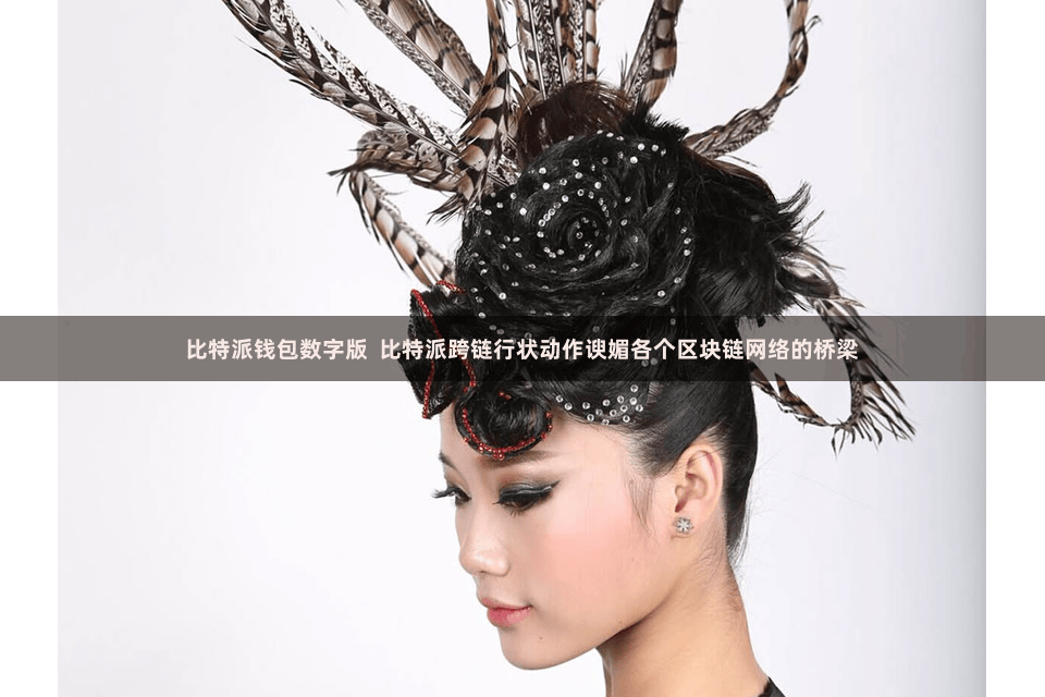 比特派钱包数字版  比特派跨链行状动作谀媚各个区块链网络的桥梁